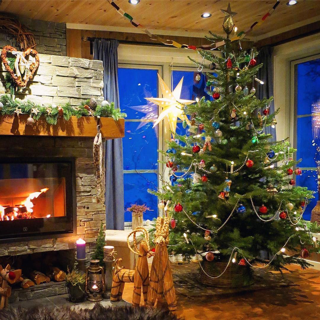DIY Elegant Christmas Tree Decorating Ideas (20)