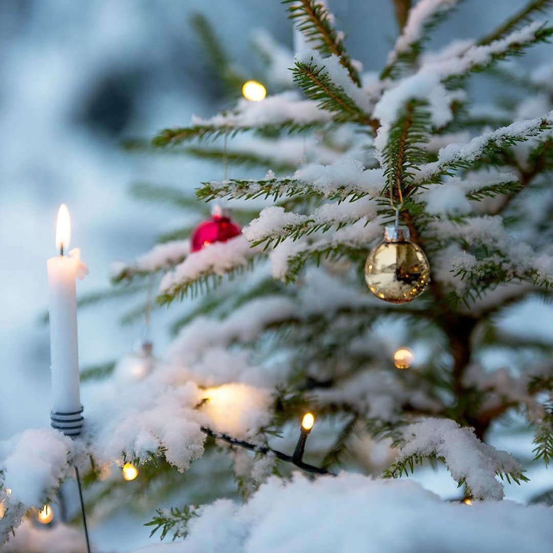 White-Winter-Wonderland-Christmas-Tree-Decor-Ideas-(18)