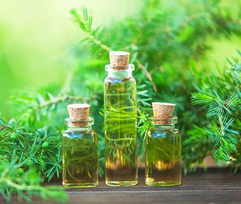 How Tea Tree Oil Affects The Skin