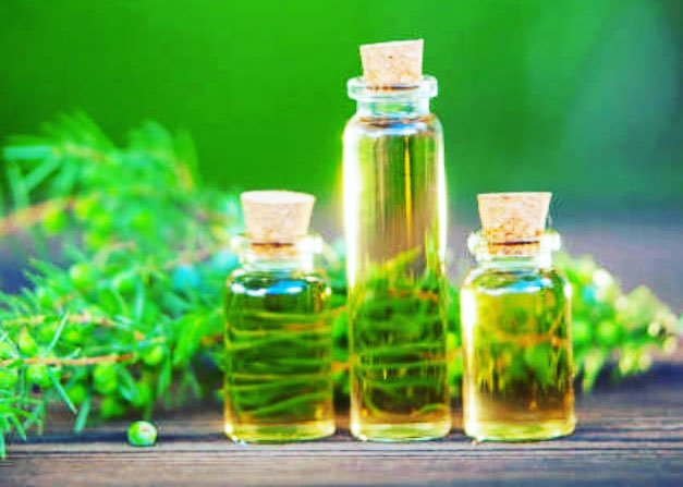 The Benefits Of Tea Tree Oil - Tea Tree Oil Uses For Skin
