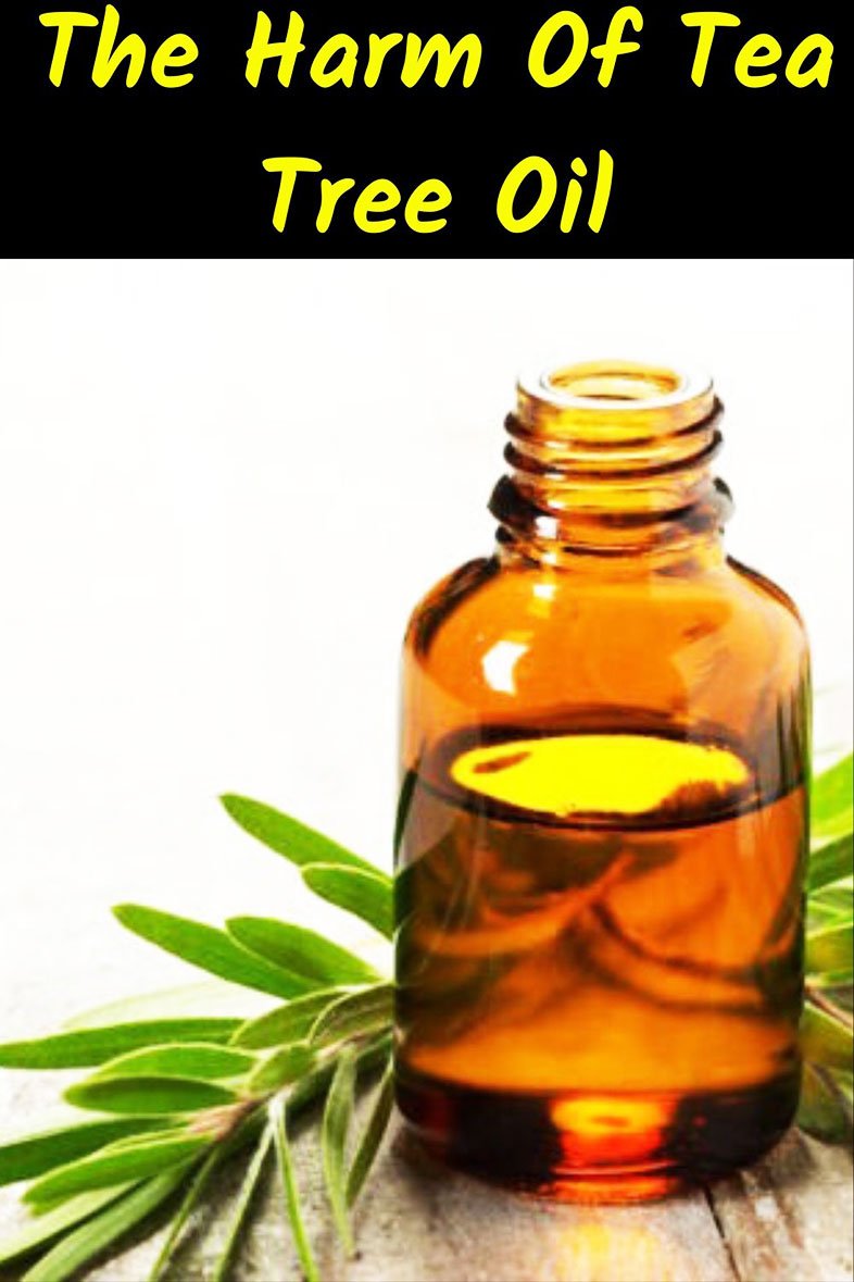The Harm Of Tea Tree Oil - Tea Tree Oil Uses For Skin