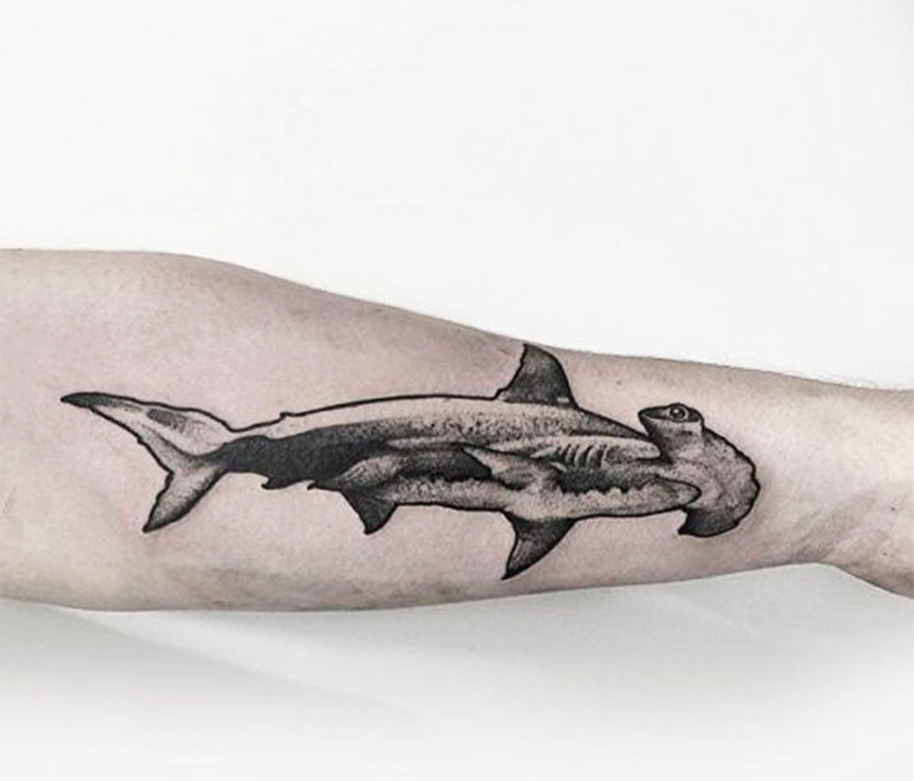 17 Best Simple Shark Tattoo Ideas