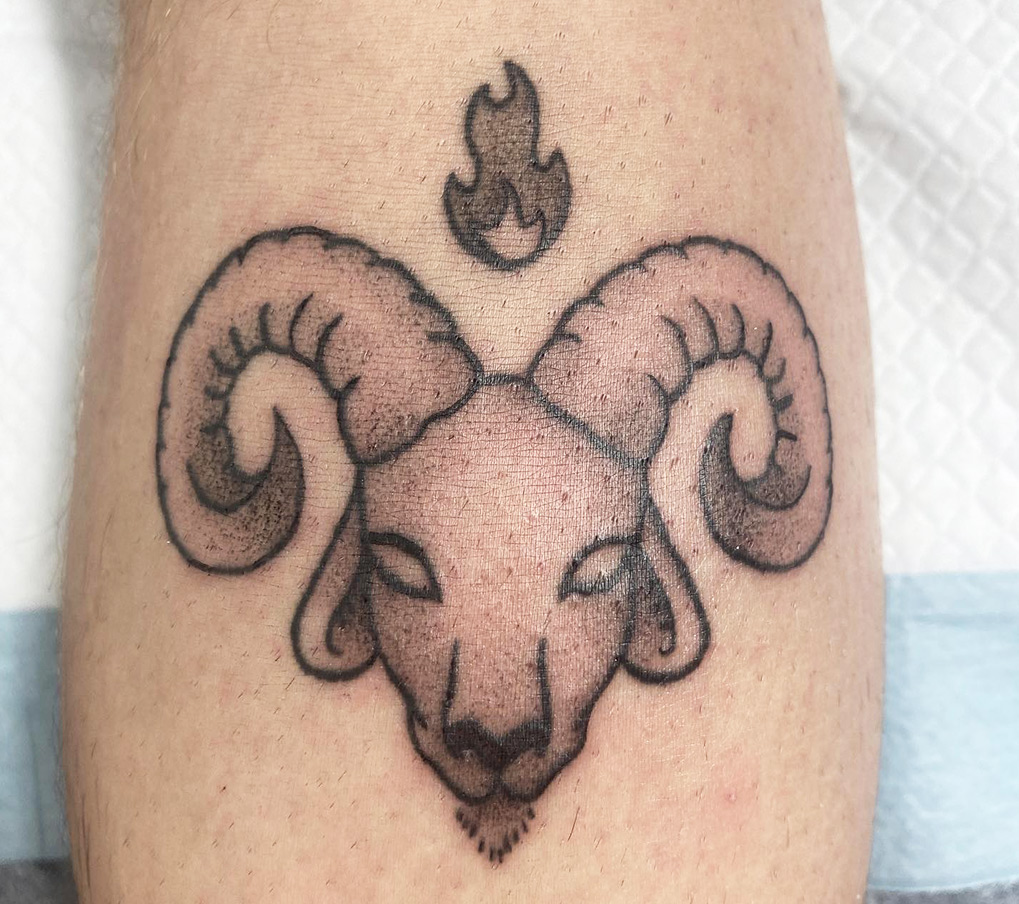 Aries (March 21 – April 19)