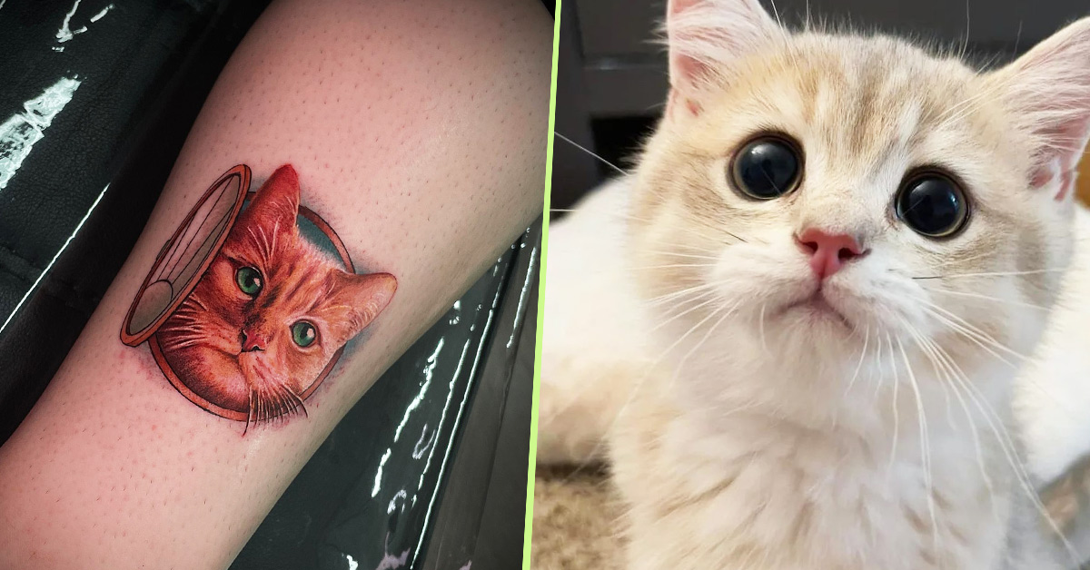 9 Unique Cute Small Cat Tattoos