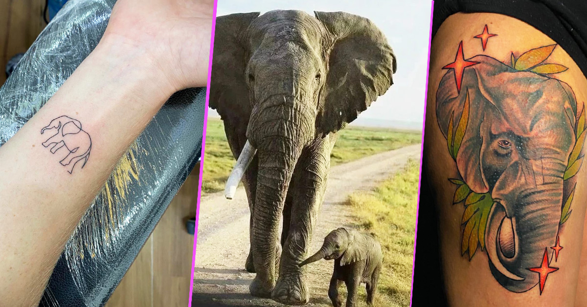 9 Best Elephant Tattoo Design