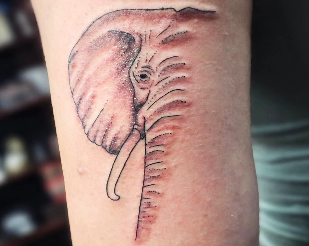 Frequently Asked Questions about Elephant Tattoos